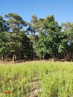 BLINNO DZIAŁKA ROLNA BEZ MPZP 1,5 HA