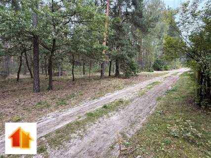 Piękna działka letniskowa nieopodal Liwca