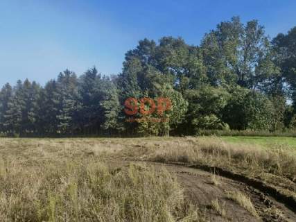 Działka budowlana w Pełczycach - idealna pod dom jednorodzinny