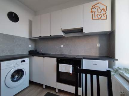 Kawalerka pet-friendly - Obrońców Westerplatte 3
