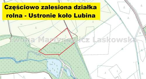 Grunt leśny - 1,5 ha - Ustronie k. Lubina