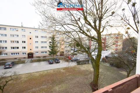 3 pokoje, Grunwald, blisko UAM i UM