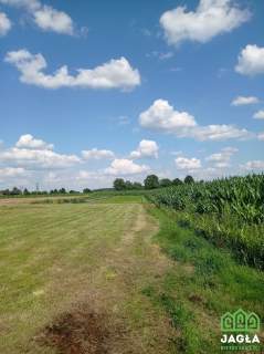 Annowo Władysławowo Rynarzewo działka 1035m2 WZ