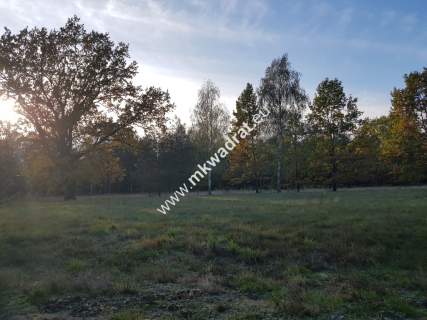  Urokliwa Działka Makówka 1600m 