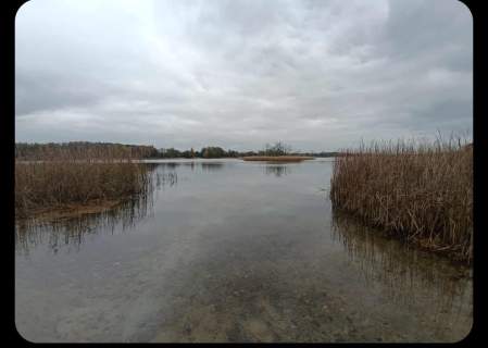 Działka nad jeziorem w miejscowości Gorzewo pow. Gostynin