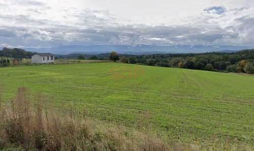 Jelenia Góra - Dziwiszów, 1501 m2 i 3141 m2, budowlane, las