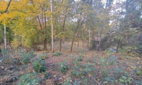 Działka budowlana na sprzedaż, 1500 m2, Łomianki