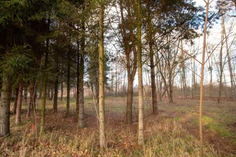 Działka budowlana Koszęcin 1024m2 ul. Słowików