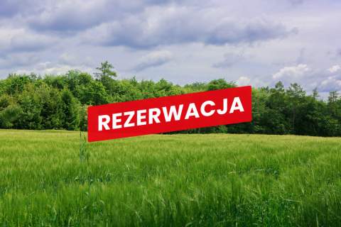 Na sprzedaż działka 79 arów- Domosławice
