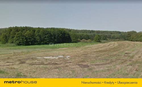 DZIAŁKA Z JEZIOREM NA DZIAŁCE W SKRZYNKACH,STĘSZEW