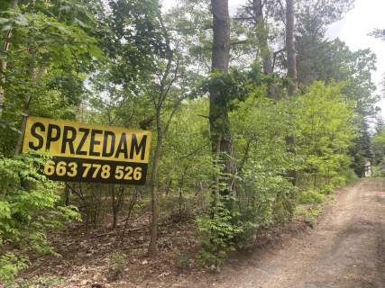 działka leśna 1392m2, Warszawa Radość