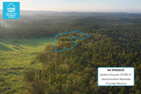 Działka rolna z lasem 2,69 ha Bieszkowice