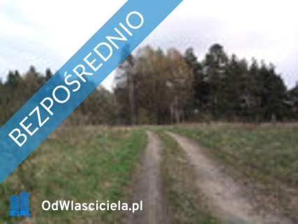 Duża Działka budowlana z małym własnym parkiem