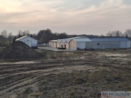 Kompleks budynków gospodarczych po pieczarkarni