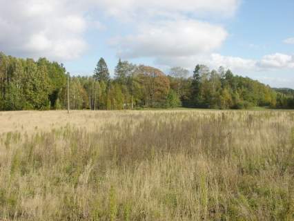 Działka z WZ, 148zł/m2, Szemudzka Huta