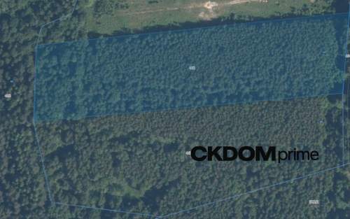 Działka inwestycyjna Cisów 22 500 m 
