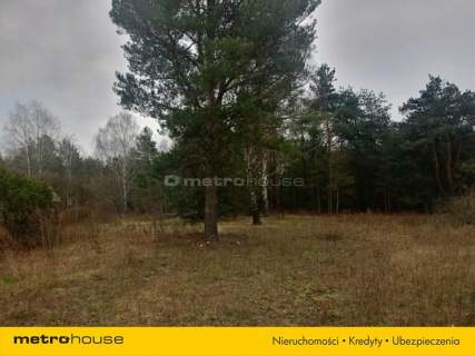 Działka rolno-leśna Skierniewice-Rawka 1 238 m2