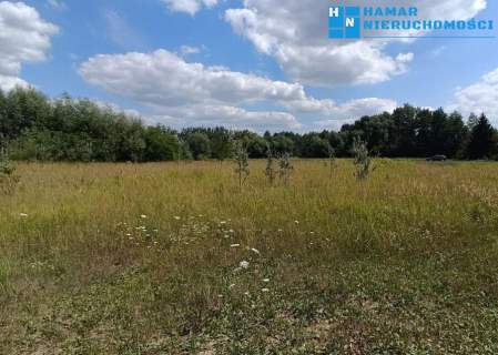 Kanie 1100m2, cicha okolica, w pobliżu lasu 