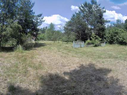 Dom do wyburzenia/generalnego remontu z piękną działką2555m2