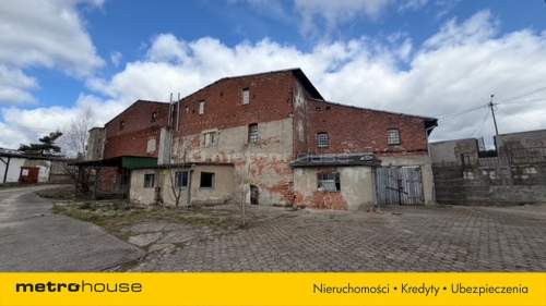 Wąbrzeźno działka 3838 m2 z kamienicą nad jeziorem