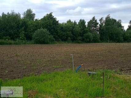UZBROJONE DZIAŁKI POD PODDĘBICAMI nad rzeką NER