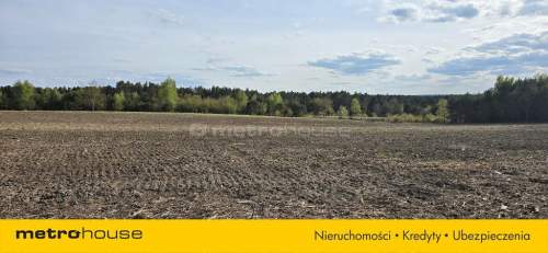 DZIAŁKA NAD MORZEM W JASTRZĘBIEJ GÓRZE