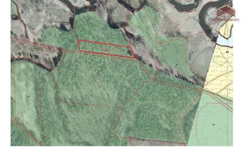 Działka leśna na sprzedaż, 15599 m2, Ruda Kozielska