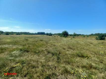DZIAŁKA ROLNA O POW. 3,02 HA BLINNO