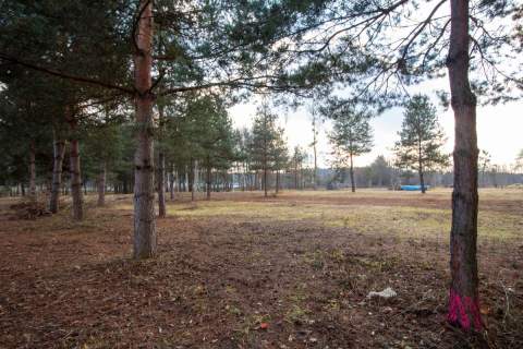 Działka budowlana Koszęcin 1099m2 ul. Słowików