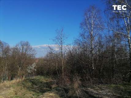 73 ar I Wrząsowice I zielona spokojna okolica