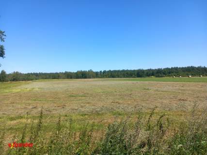 DZIAŁKA ROLNA BLINNO 1,63 HA SPOKOJNA OKOLICA