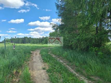 Rukławki gm. Biskupiec - ATRAKCYJNE DZIAŁKI REKR
