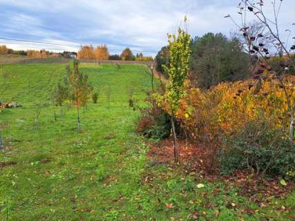 Szczodrkowice, gmina Skała, 20 a, budowlana