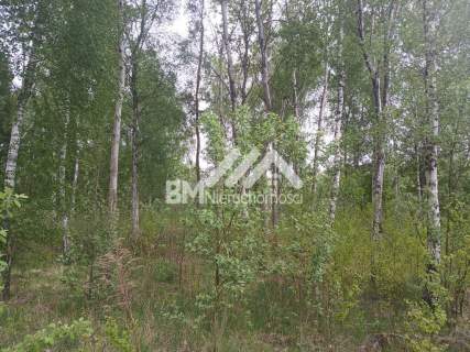 1502m2 - Mościska/Adamowizna na dwulokalówkę