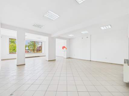 DO WYNAJĘCIA 300m2, WIDOK NA WYSPĘ MŁYŃSKĄ 