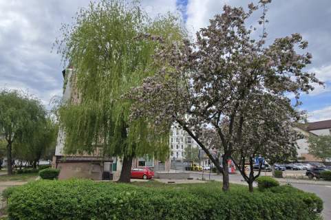Starobojarska 72 m2, 4 pokoje, 1 piętro, parking