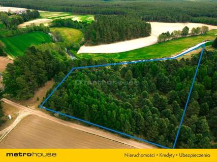 Działka siedliskowa z linią brzegową, przy lesie