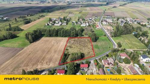 Działki w Grodzisku Indywidualnie lub całość