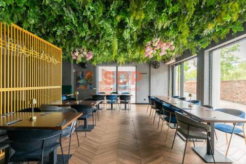 Lokal gastronomiczny w centrum Wrocławia Plac Jana Pawała II...