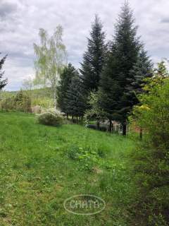 Działka/Zagórze Śląskie/okolice