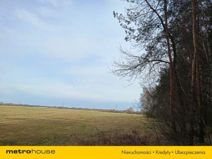 Działka orna w Uchaniu Dolnym k/Łowicza 24 000 m2