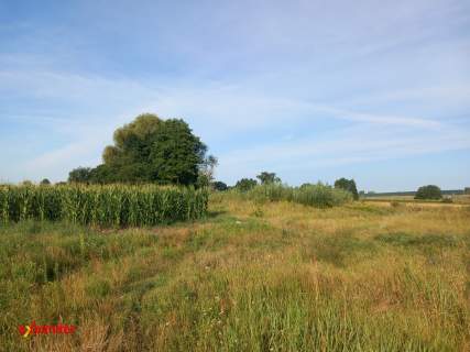 DZIAŁKA POD ZABUDOWĘ 2.8705 HA PRZY S5 KRUSZYN