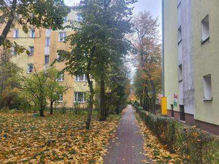 centrum miasta nowe instalacje cisza i zieleń