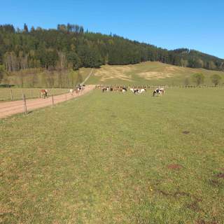 Sprzedam gospodarstwo rolne