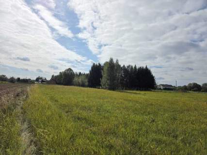 Sprzedaż działki-Nowe Gniewniewice