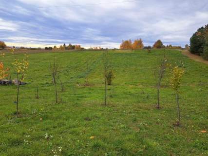 Szczodrkowice, gmina Skała, 20 a, budowlana