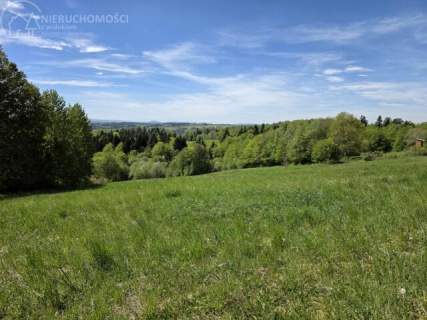 Urokliwa działka z widokiem na Tatry 58 arów