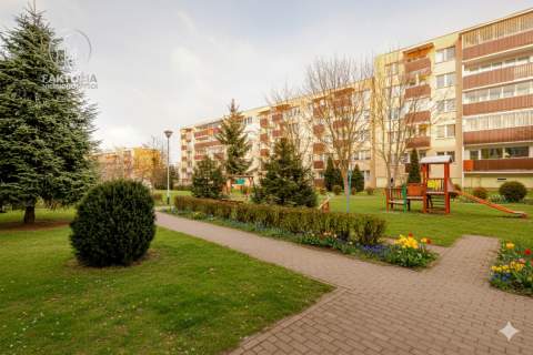 3 pokoje Duża loggia, świetna lokalizacja