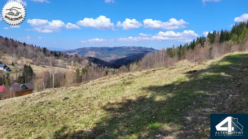 Działka budowlana z własnym lasem