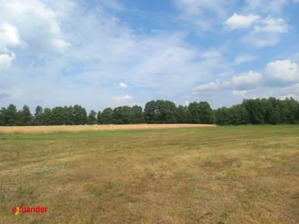 DZIAŁKI ROLNE Z MOŻL. UZYSK. WZ OD 3263 M2 I INNE